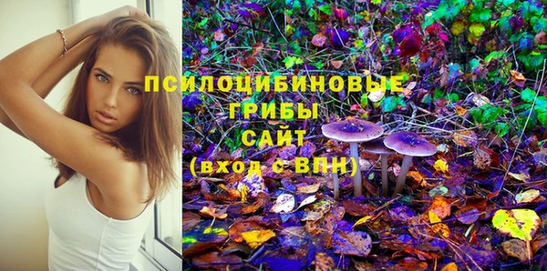 дмт Балахна