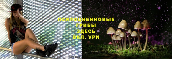 дмт Балахна